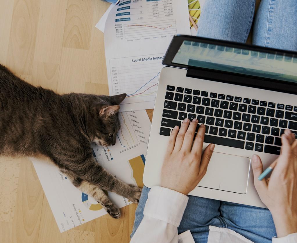 Remote Work Issues