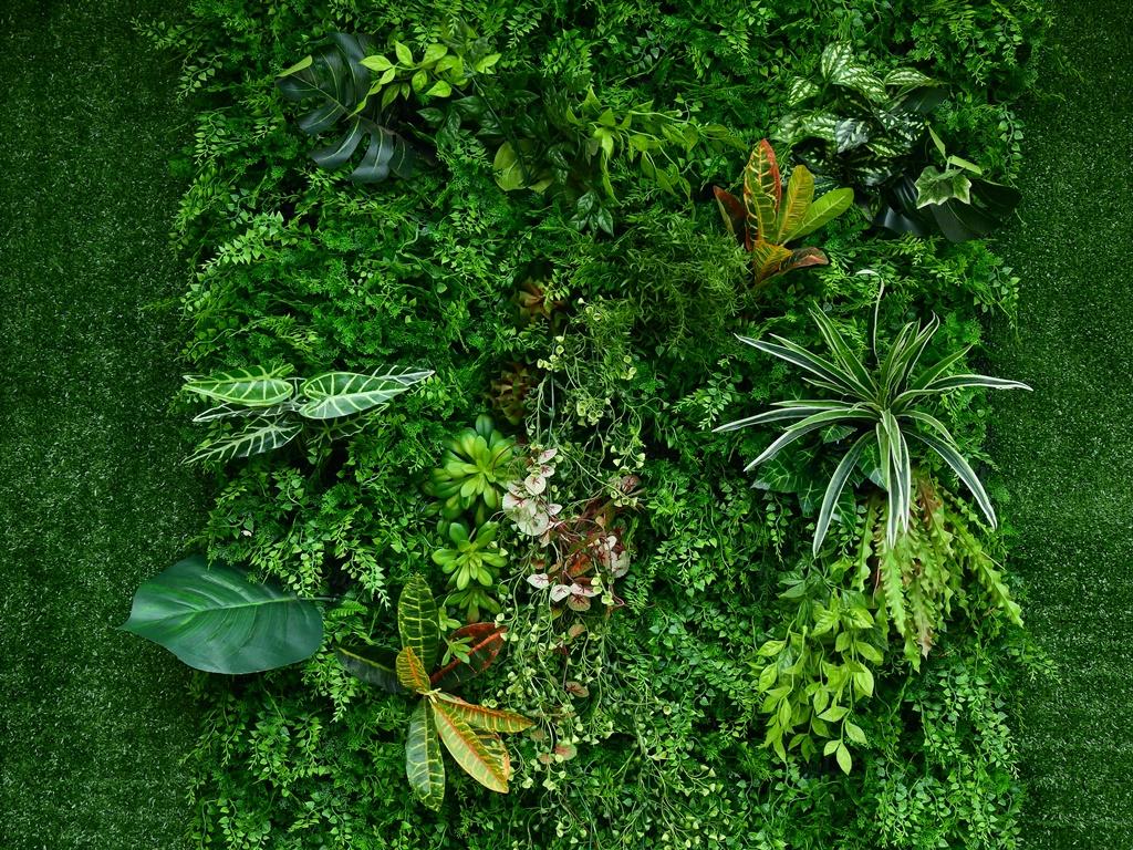 Four tips to give “green” decoration to your walls